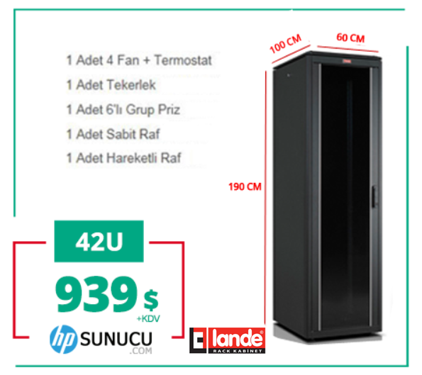 42U 600x1000x2053mm Lande DYNAmic Dikili Tip Rack Server Kabinet (PDDM4261)